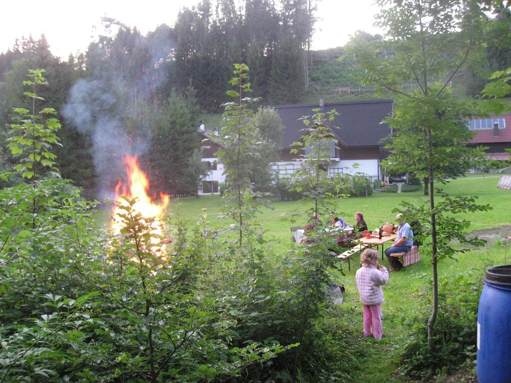 Ferienhaus Goestling Βίλα Göstling an der Ybbs Δωμάτιο φωτογραφία