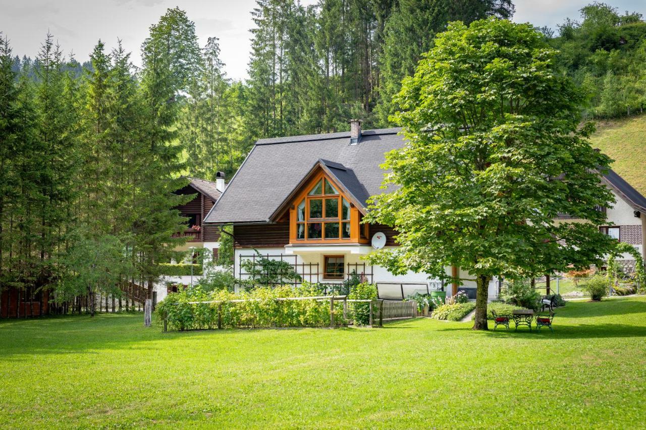 Ferienhaus Goestling Βίλα Göstling an der Ybbs Εξωτερικό φωτογραφία